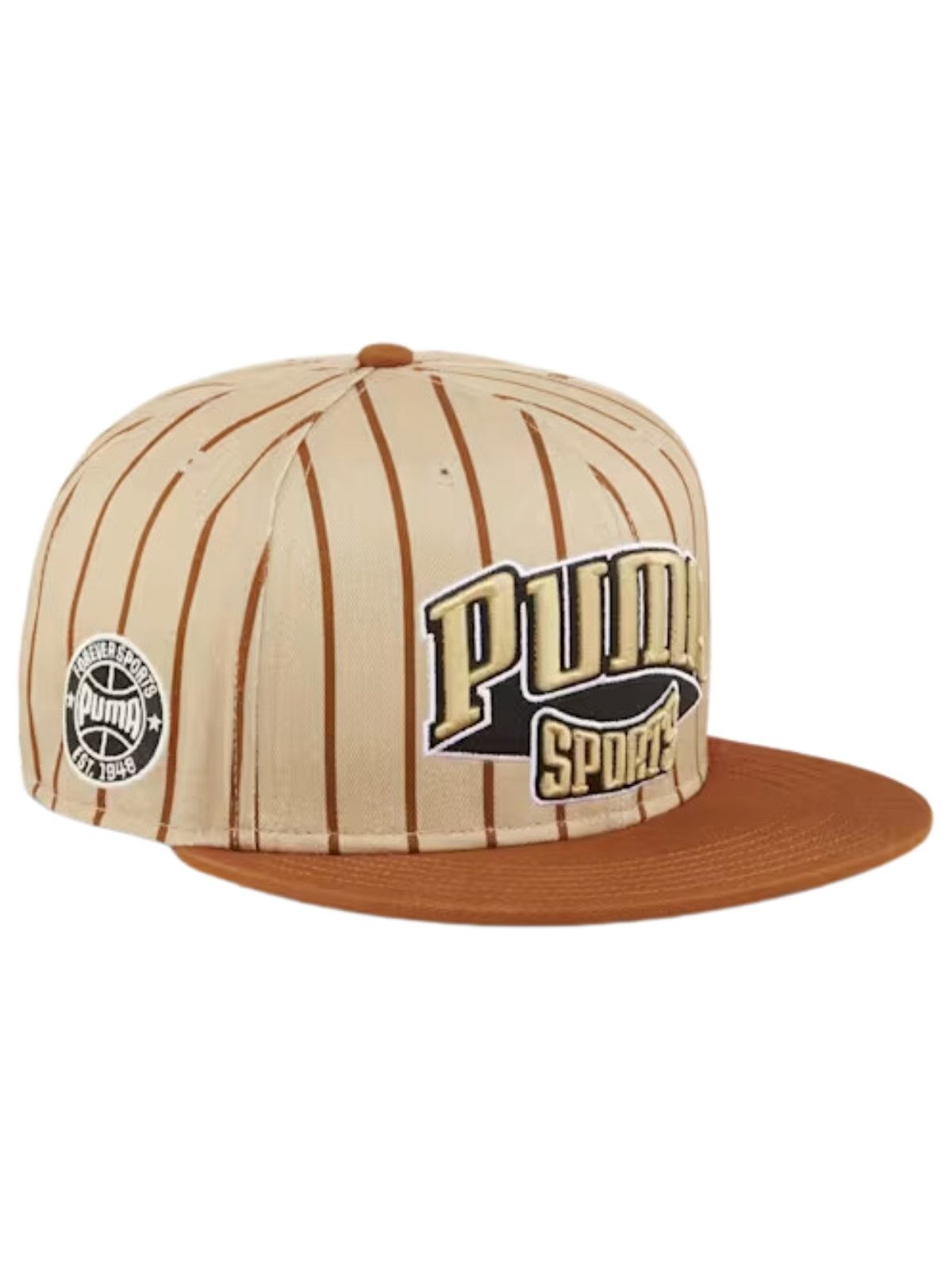 Puma Cap Hometwon Heroes Flatbrim Brown