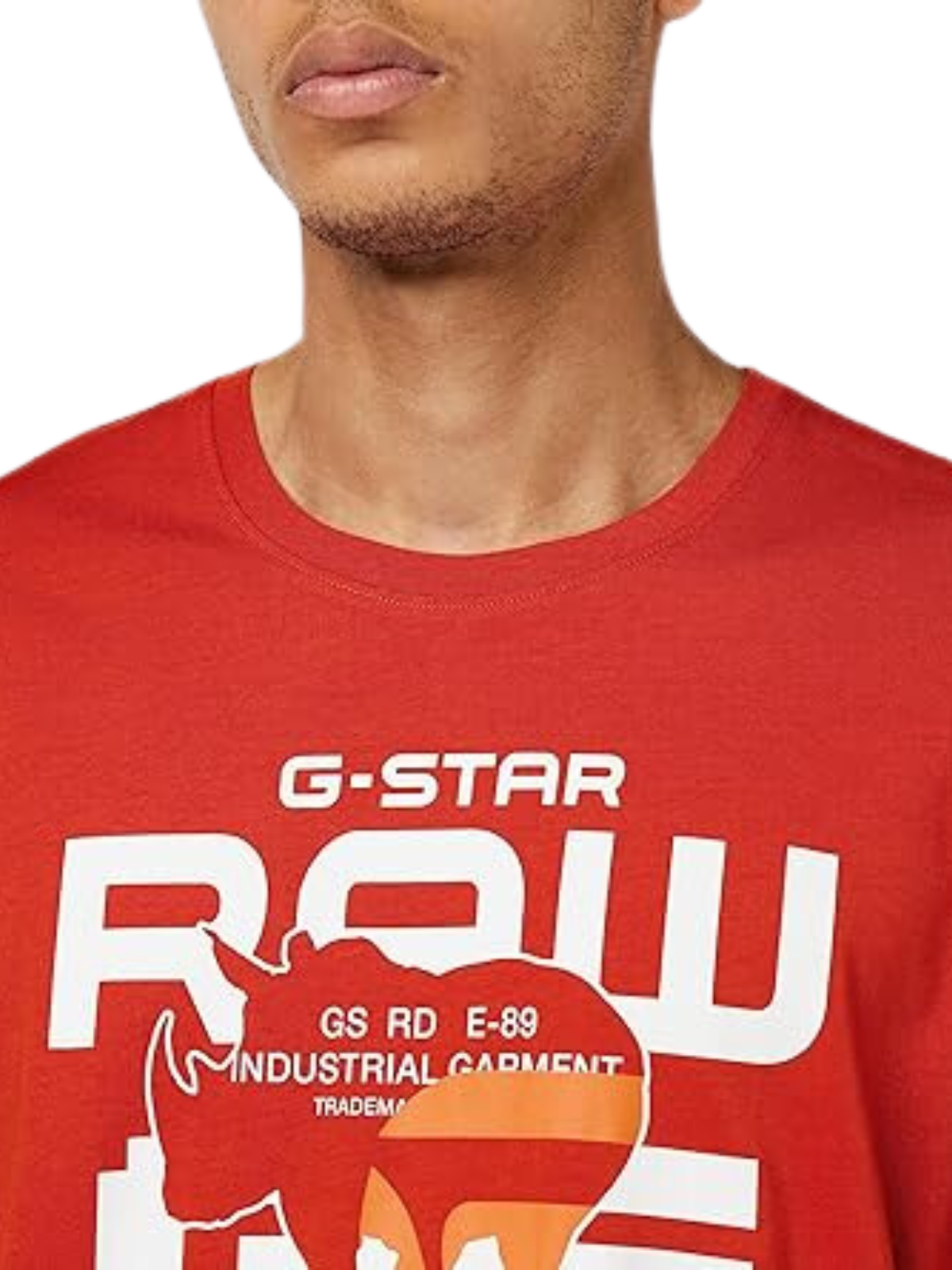G-Star T-Shirt G-No Graphic Rooibos Tea