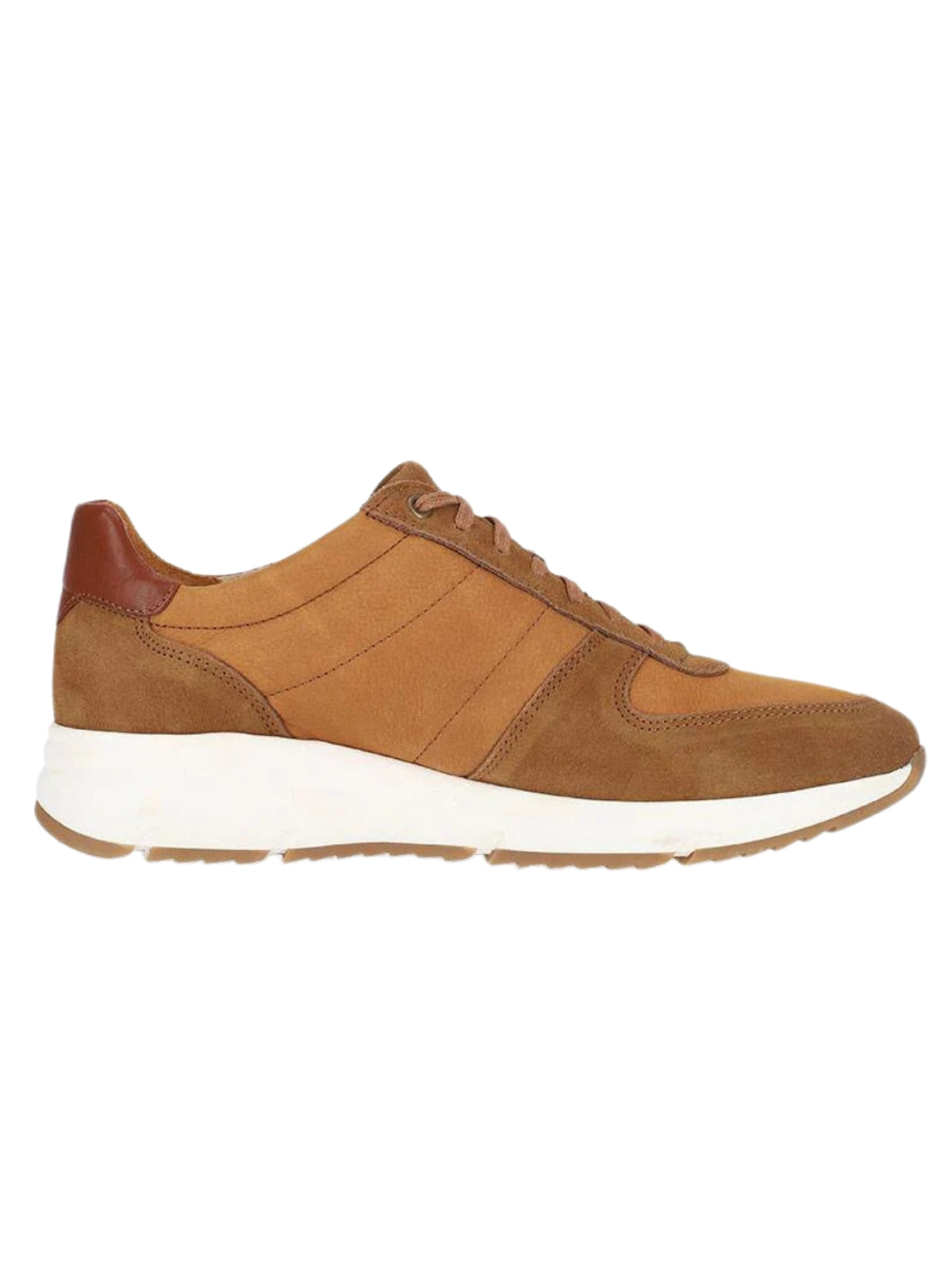 Rossimoda Sneaker Alvar Tan